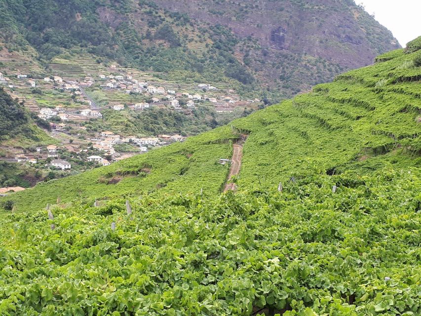 Madeira: Cabo Girão, Wine Tasting, & Serra d'Água Jeep Tour - Key highlights worth planning for