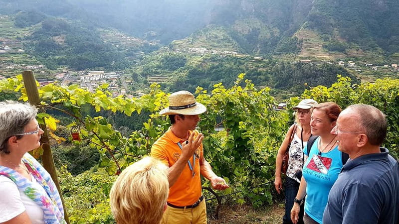 Madeira: Cabo Girão, Wines Experience and Dolphins Watching - Marina de Funchal pause: lunch time and a breather before the boat