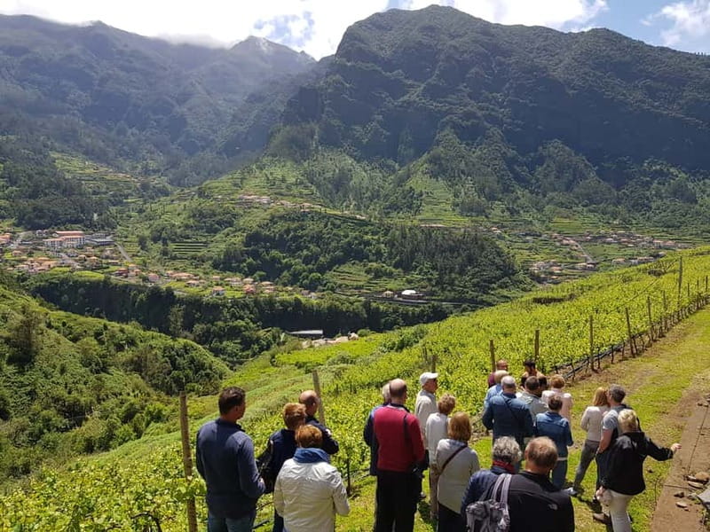 Madeira: Cabo Girão, Wines Experience and Dolphins Watching - Who should book this Madeira combo tour