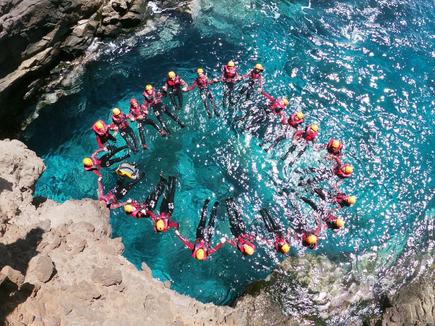 Madeira: Coasteering Tour - Price and Value: Why $82 Can Make Sense Here