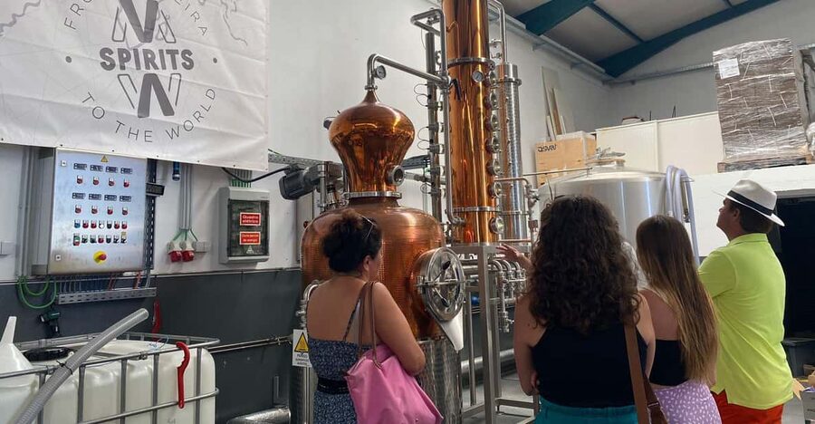 Madeira: Distilleries - Key Things You’ll Notice on This Madeira Distilleries Tour