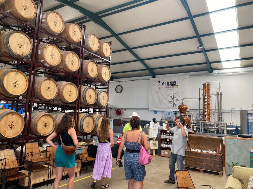 Madeira: Distilleries - Price and Logistics: Is $64 Good Value for This 4-Hour Plan?