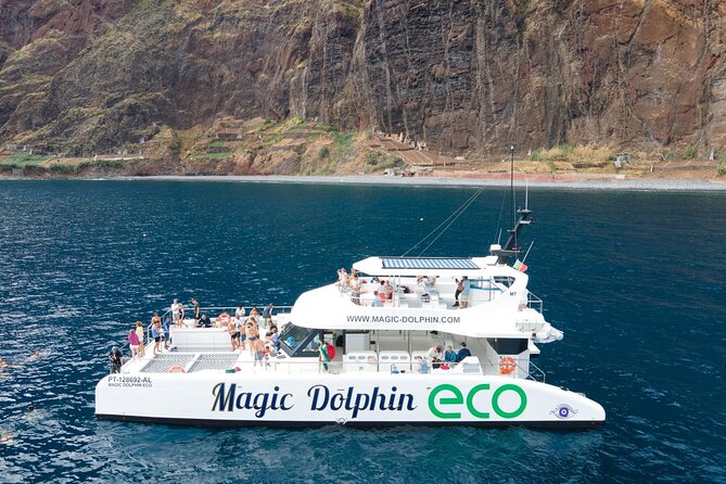 Madeira Dolphin and Whale Watching on a Ecological Catamaran - Wildlife Chances: Dolphins, Pilot Whales, Sperm Whales, and More