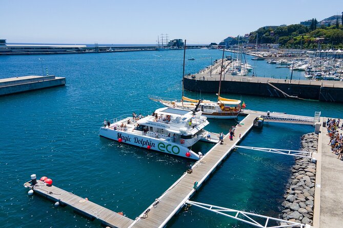 Madeira Dolphin and Whale Watching on a Ecological Catamaran - Cabo Girão, Câmara de Lobos, and Reid’s Hotel Views From the Sea