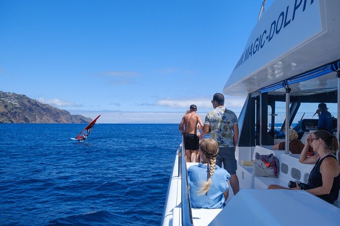Madeira Dolphin and Whale Watching on a Ecological Catamaran - Who Should Book This Cruise, and Who Might Want a Different Plan