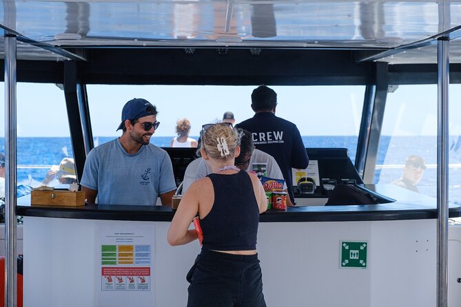 Madeira Dolphin and Whale Watching on a Ecological Catamaran - Meeting Point in Funchal and the Real Pace of a 2.5 to 3 Hour Cruise