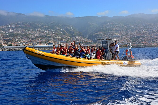 Madeira Dolphin & Whale Watching Tour - Quick Highlights
