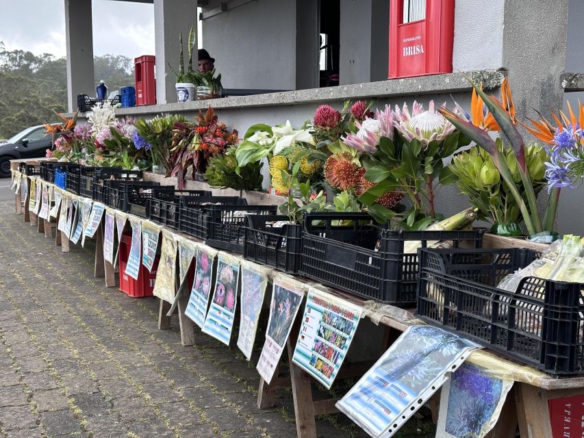 Madeira E-Bike Food Tour – Local Flavours & Scenic Rides - What You Need to Bring (It’s More Than Just a Phone)