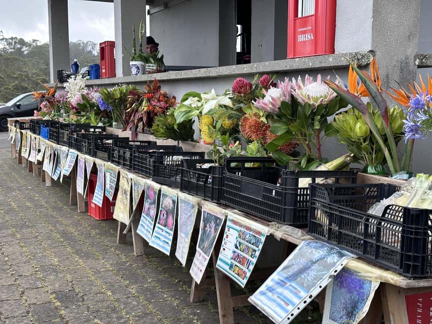 Madeira E-Bike Food Tour – Local Flavours & Scenic Rides - What the 6-Hour Flow Feels Like (and Why It Works)