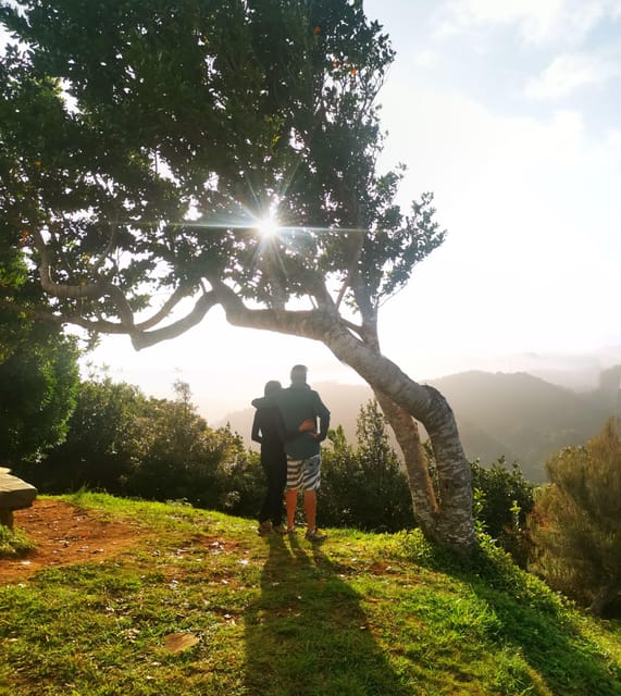 Madeira E-Buggy Adventure: 4x4 thrill & epic views! Book now - Key things to know before you go