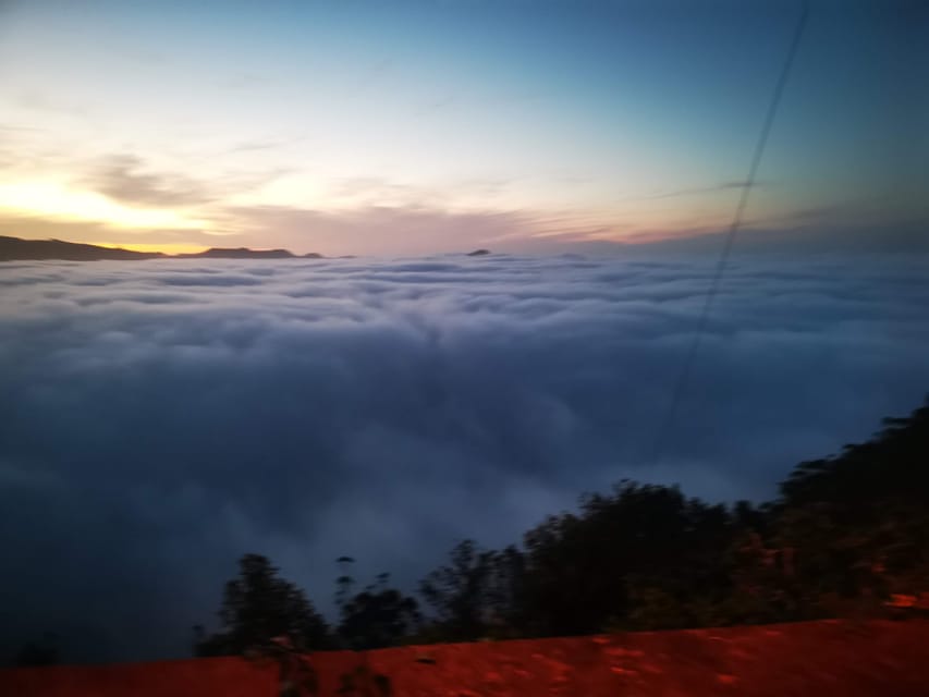 Madeira E-Buggy Adventure: 4x4 thrill & epic views! Book now - Electric Buggy Rules, speed, and that surprisingly calm forest feel