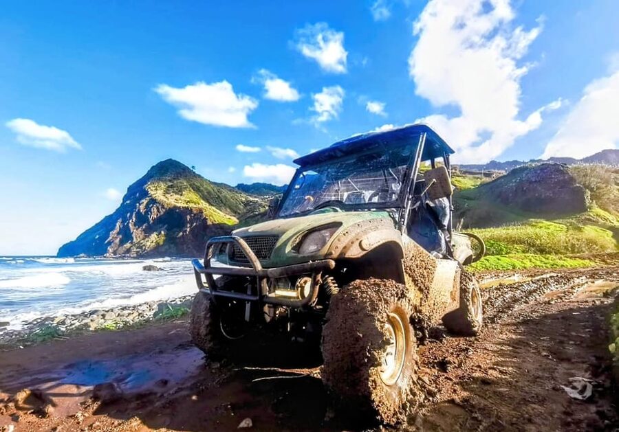 Madeira E-Buggy Adventure: 4x4 thrill & epic views! Book now - Laurissilva Forest off-road: 90 percent trail time in near silence