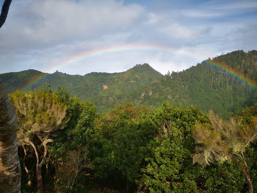 Madeira E-Buggy Adventure: 4x4 thrill & epic views! Book now - Who should book this e-buggy adventure, and who should skip it