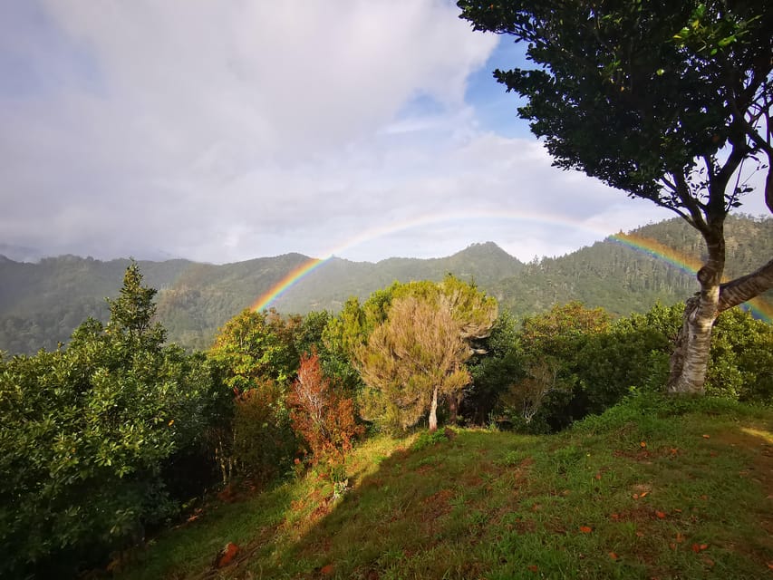 Madeira E-Buggy Adventure: 4x4 thrill & epic views! Book now - Quick checklist: what to bring, what to wear, and what not to do