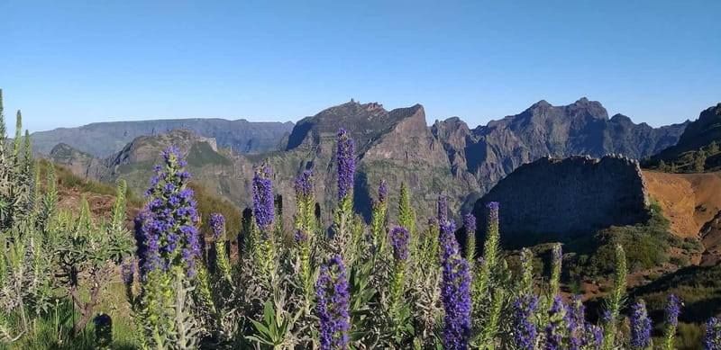 Madeira East Island Tour and Levada Walk - East Madeira in One Day: The Smart Route Logic