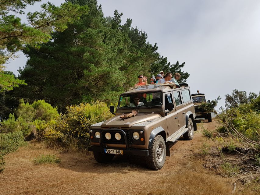 Madeira East or West Private Half-Day Tour by Open-Top Jeep - Practical Stuff You Can Plan For Before You Go