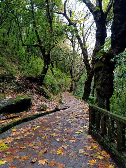 Madeira: East Side Tour - Miradouro do Guindaste: quick, sharp, and scenic