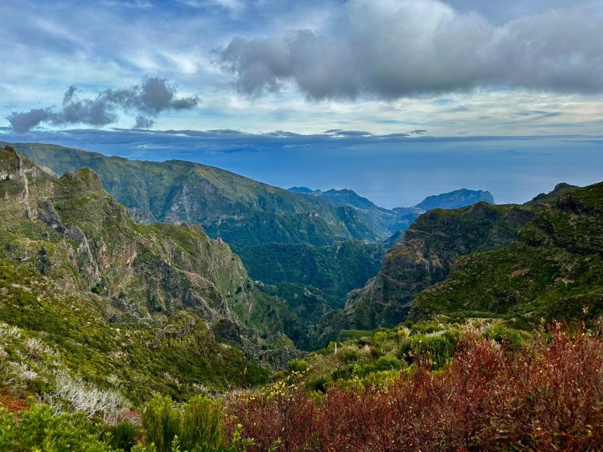 Madeira : East Tour - Santana North Side - Price and logistics: what $41 buys you, and what it does not