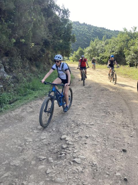Madeira Easy Levada Biking Tour – Scenic & Relaxed - Key Highlights You Will Care About