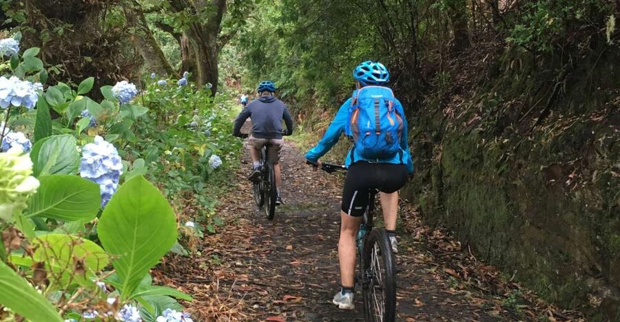 Madeira Easy Levada Biking Tour – Scenic & Relaxed - Laurel Forest Time: UNESCO Scenery and Giant Ferns