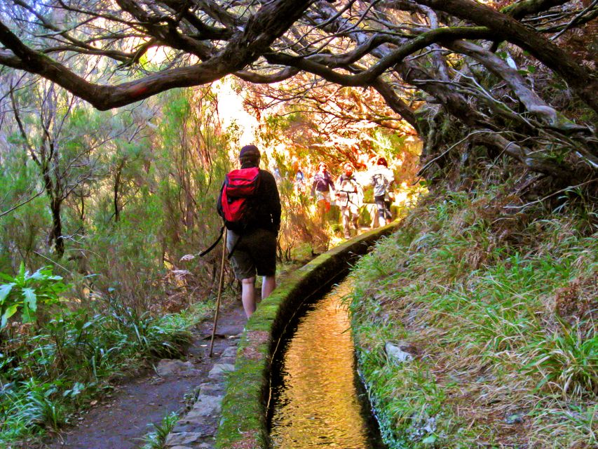 Madeira: Enjoy a Guided Levada Walk in the Rabaçal Valley - Levada das 25 Fontes: 25 springs into a cliffside lagoon