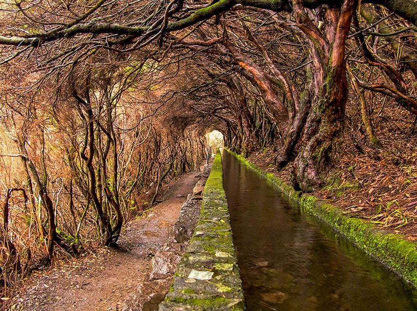 Madeira: Enjoy a Guided Levada Walk in the Rabaçal Valley - The return route and the wet 800m tunnel