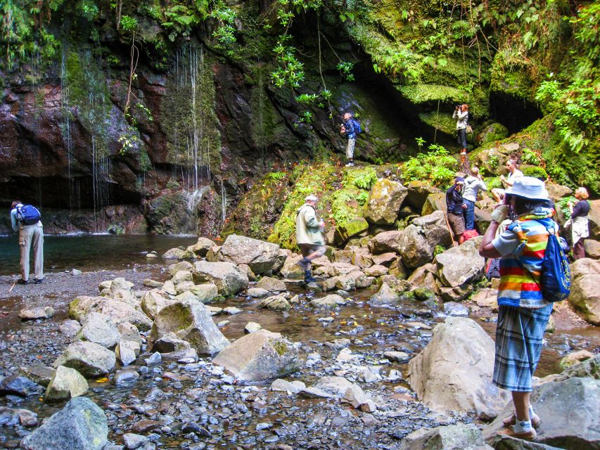 Madeira: Enjoy a Guided Levada Walk in the Rabaçal Valley - Price and value: where the $50 goes