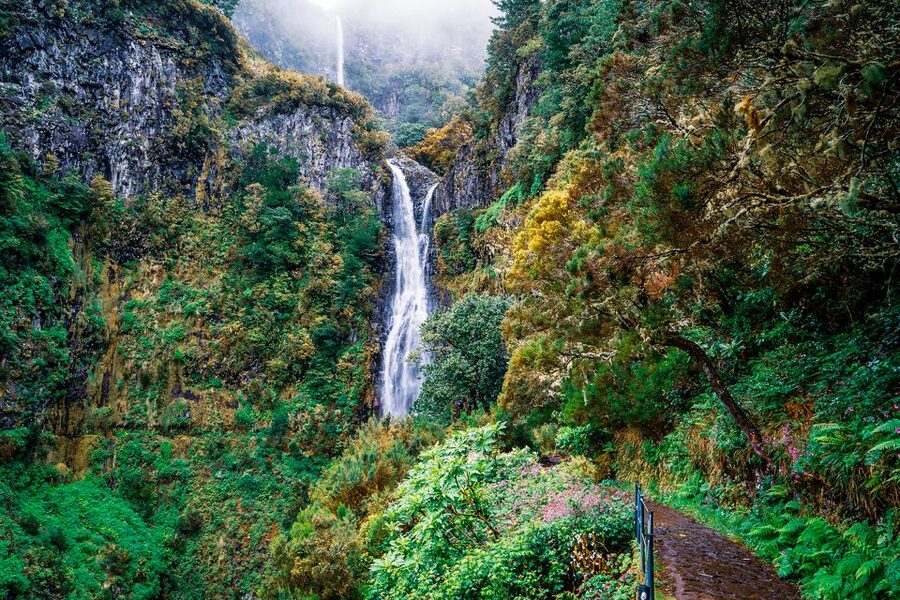 Madeira: Enjoy a Guided Levada Walk in the Rabaçal Valley - From Funchal pickup to Paul da Serra: making the day easy to start