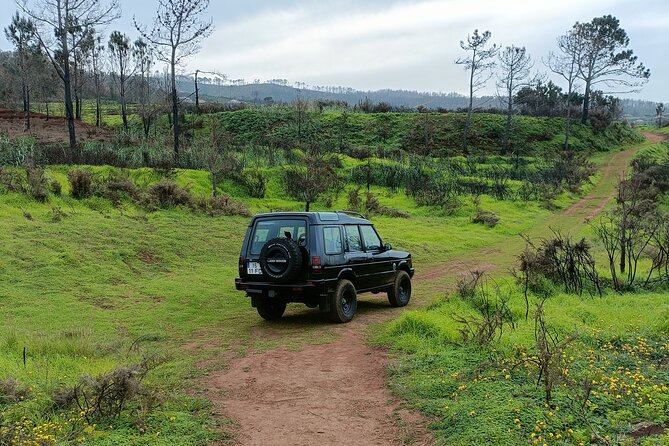Madeira: Experiência 4WD Skywalk para Seixal Porto Moniz, Fanal - Key things I’d pencil into your plan