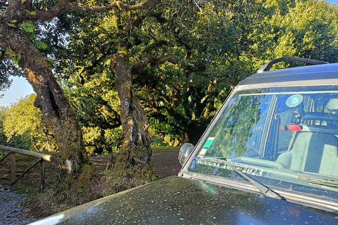 Madeira: Experiência 4WD Skywalk para Seixal Porto Moniz, Fanal - Who this tour suits best, and when to skip it