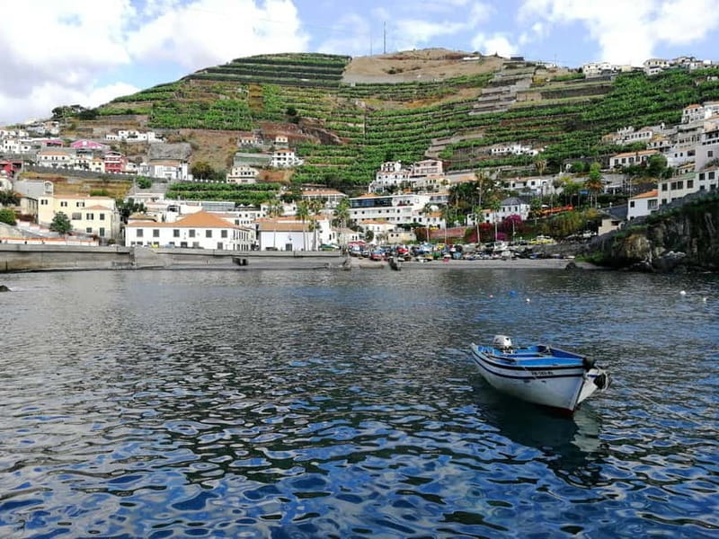 Madeira: Fajã dos Padres, Cabo Girão and Câmara de Lobos - Câmara de Lobos: fishing village charm with real context