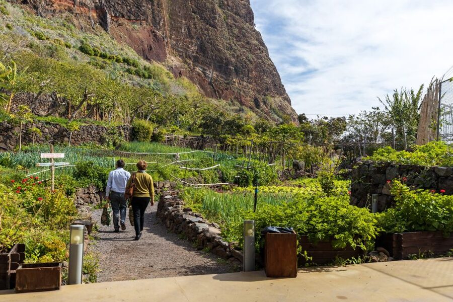 Madeira: Faja dos Padres Private Sightseeing Tour - Price and value: is $117 per person fair for 3 hours?