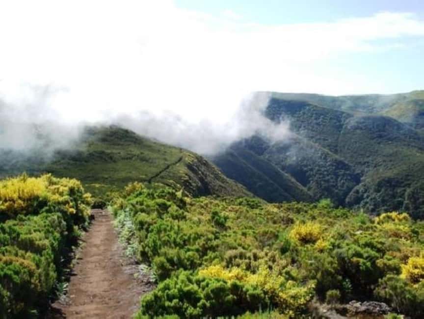 Madeira: Fanal Assobiadores Trail - What’s Included, What’s Not, and What to Bring