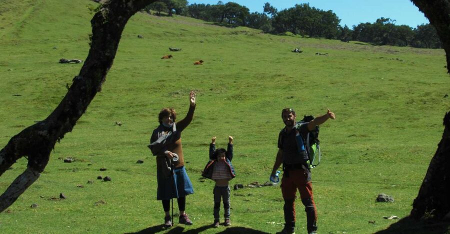 Madeira: Fanal Forest Guided Hiking Tour - Key Things I’d Mark on Your Must-Do List