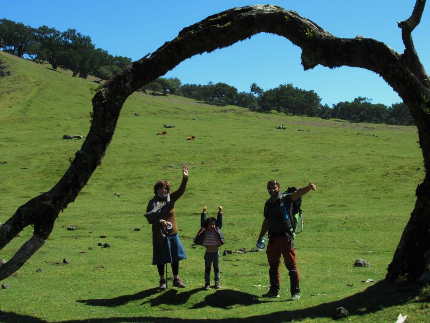 Madeira: Fanal Forest Guided Hiking Tour - Fanal Forest Photo Moments Start Long Before the Hike