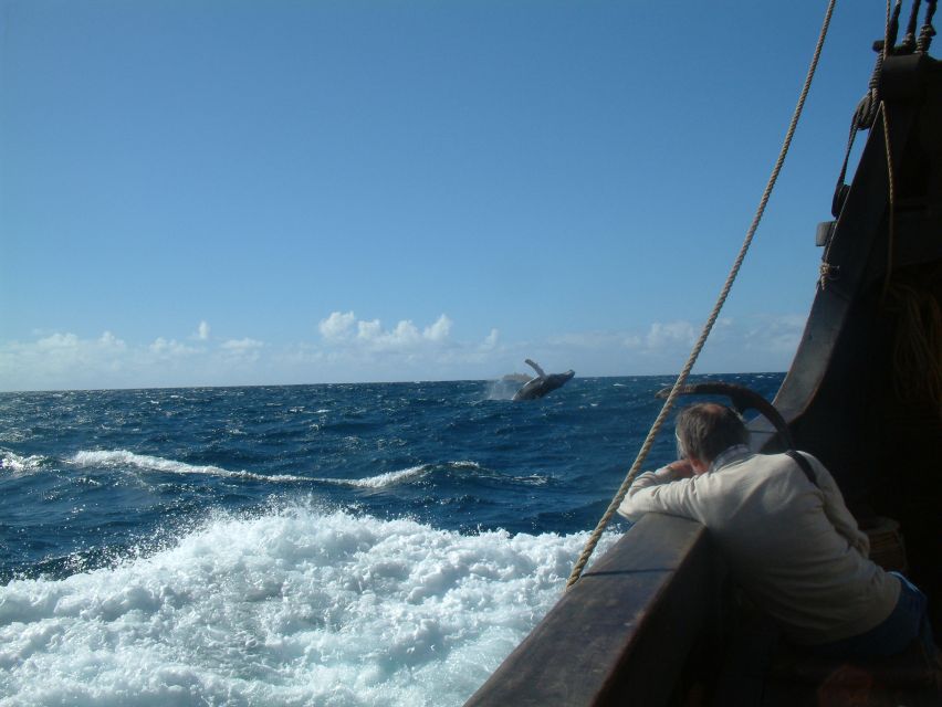 Madeira: Flag Ship Tour aboard Santa Maria de Colombo - Price and Value: Is $53 for 3 Hours Worth It?