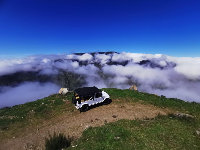 Madeira: Full-Day Jeep Tour, Natural Pools, Seixal & Fanal - Price and logistics: does $76 feel fair?