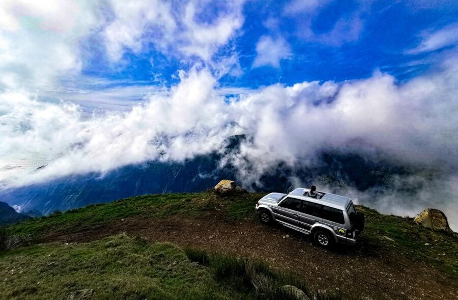 Madeira: Full-Day Jeep Tour, Natural Pools, Seixal & Fanal - Fanal Forest and Paul da Serra: oldest laurel woods and wide plateau views