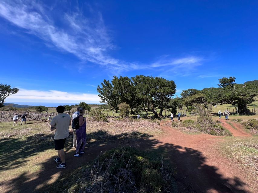 Madeira: Full-Day Jeep Tour with Guide and Pickup - Price and what you actually get for about $78