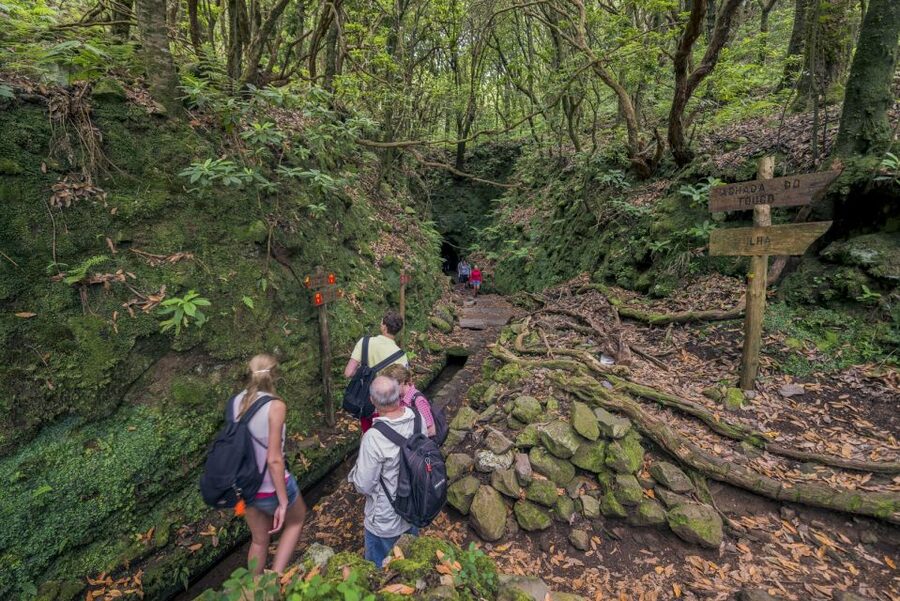 Madeira: Full-Day Laurel Forest Guided Walking Tour - Caldeirão Verde, the waterfall stop, and how the tunnels change everything