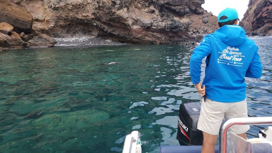 Madeira: Full-Day of Activities in Ponta de São Lourenço - Should you book this Madeira Sea Emotions Ponta de São Lourenço tour?