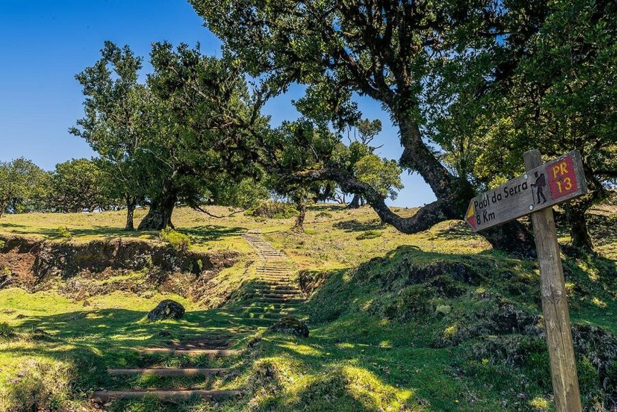 Madeira: Full-Day Porto Moniz Jeep Tour - Fairy Forest Off-Road: The Real Reason to Choose a Jeep