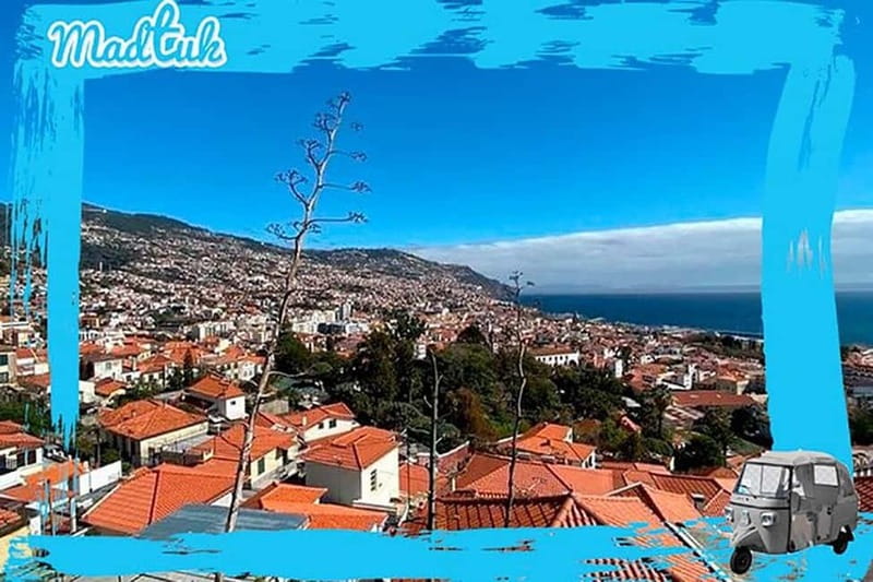 Madeira: Funchal City Historical Tuk Tour Guided by MadTuk - Should you book the MadTuk historical tuk tour in Funchal?