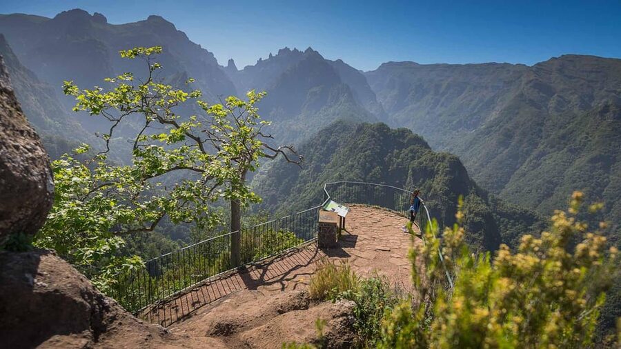Madeira Funchal:East Tour Pico Arieiro & Santana&Laurissilva - Ribeiro Frio to Balcões: Laurisilva UNESCO Forest, Easy Levada Time
