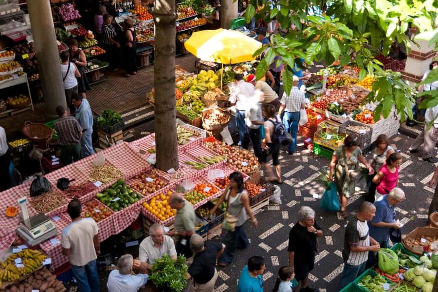 Madeira: Funchal's Eco Private City Tour - Who this private eco tuktuk tour fits best