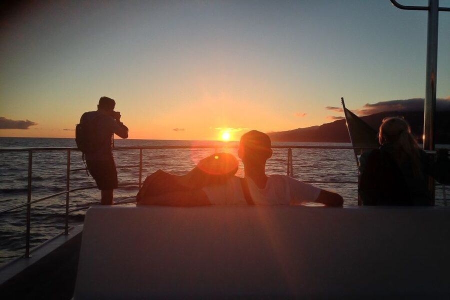 Madeira: Funchal Sunset Tour by Catamaran - Key highlights that make this cruise worth your time