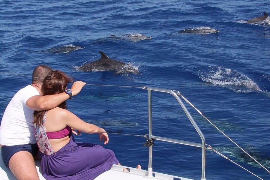Madeira: Funchal Sunset Tour by Catamaran - Cruising the south coast for that Madeira sunset glow