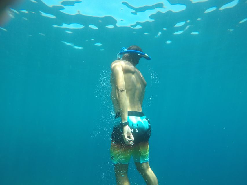 Madeira: Garajau Nature Reserve Kayak and Snorkel Tour - Key highlights worth planning for