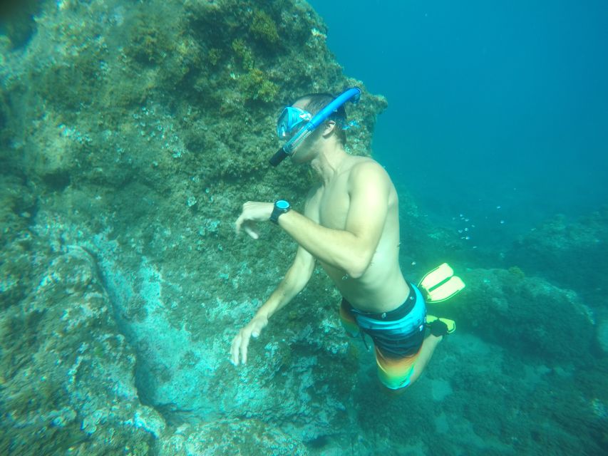 Madeira: Garajau Nature Reserve Kayak and Snorkel Tour - Garajau Nature Reserve, but make it practical
