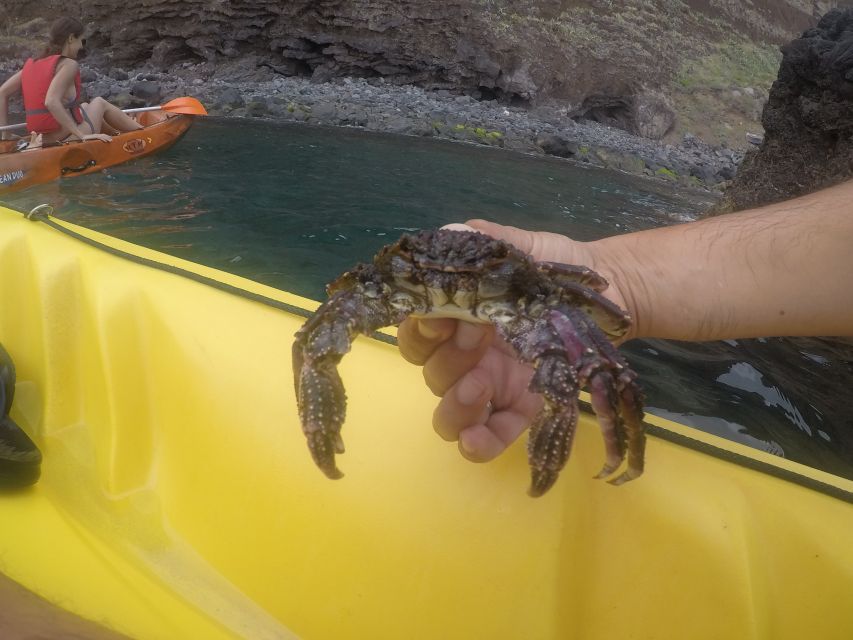 Madeira: Garajau Nature Reserve Kayak and Snorkel Tour - The jump spot option: fun if you are game, calm if you are not